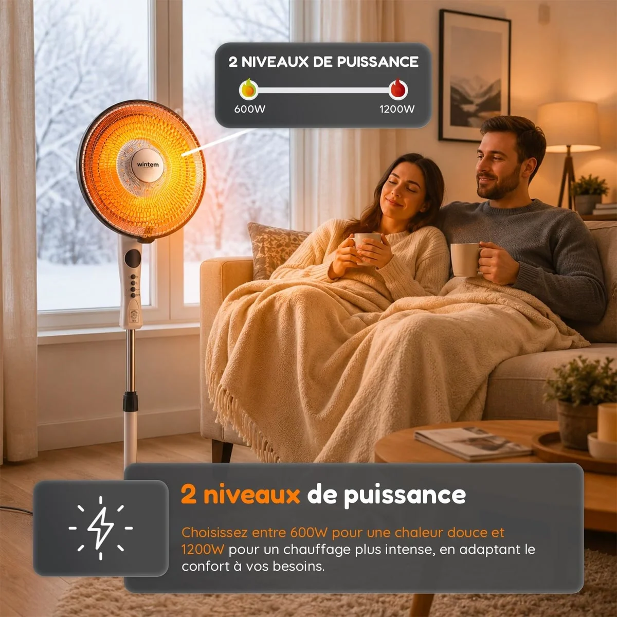 Wintem Flux parabole carbone, vue 2