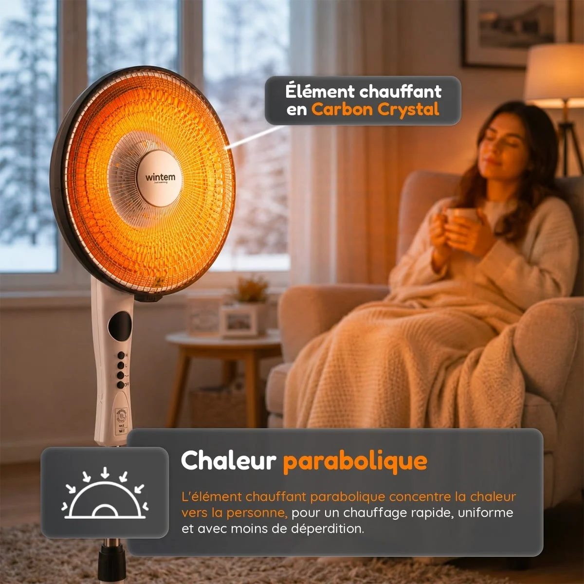Wintem Flux parabole carbone, vue 3
